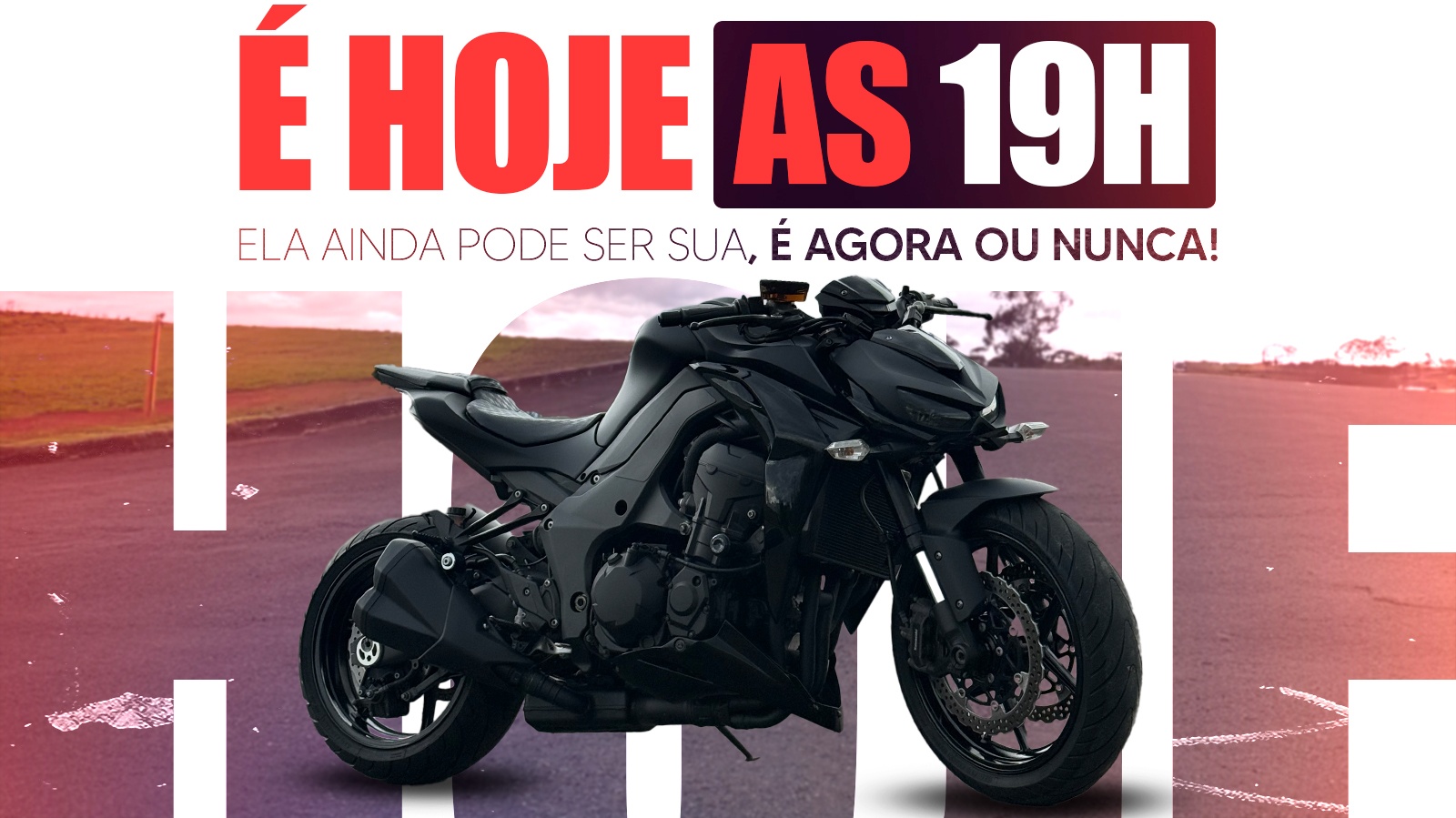 Z1000 MAMBA NEGRA